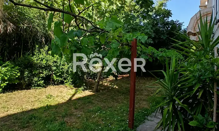 Rexer-Rimini-Casa-plurifamiliare-indipendente-con-appartamenti-box-e-giardino-Giardino