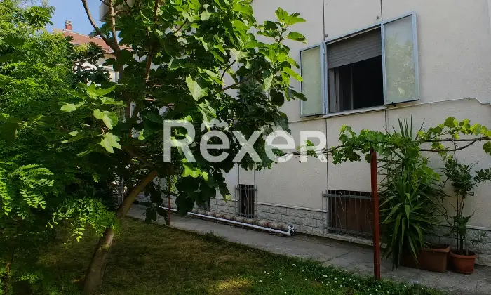 Rexer-Rimini-Casa-plurifamiliare-indipendente-con-appartamenti-box-e-giardino-Giardino