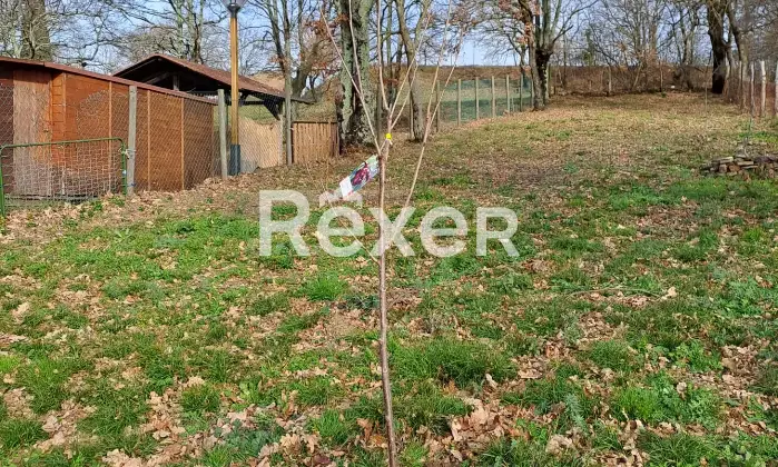 Rexer-Scansano-Immobile-in-piccolo-borgo-di-campagna-Altro