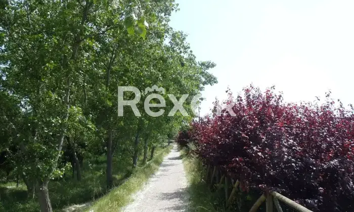 Rexer-Porto-Recanati-Villa-in-vendita-Ideale-per-BB-Porto-Recanati-Altro