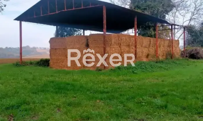 Rexer-Castelleone-di-Suasa-Propriet-rustica-in-vendita-in-Contrada-Case-Nuove-a-Castelleone-di-Suasa-Altro