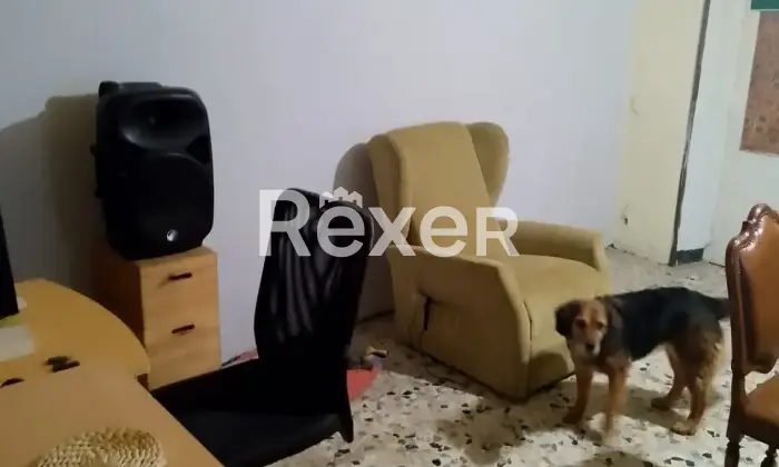 Rexer-Mallare-Casa-indipendente-in-vendita-in-Localit-Fucine-Fucinegrenni-a-Mallare-Altro
