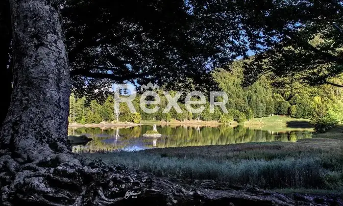 Rexer-Giarola-LEccellenza-dellOspitalit-Autentica-nellAppennino-Reggiano-Altro