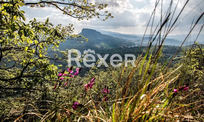 Rexer-Giarola-LEccellenza-dellOspitalit-Autentica-nellAppennino-Reggiano-Altro