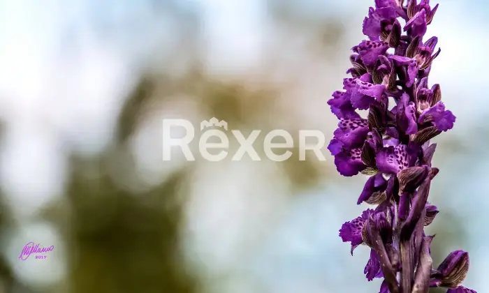 Rexer-Giarola-LEccellenza-dellOspitalit-Autentica-nellAppennino-Reggiano-Altro