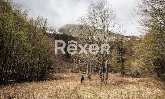 Rexer-Giarola-LEccellenza-dellOspitalit-Autentica-nellAppennino-Reggiano-Altro