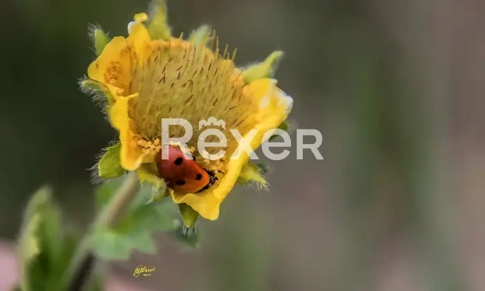 Rexer-Giarola-LEccellenza-dellOspitalit-Autentica-nellAppennino-Reggiano-Altro
