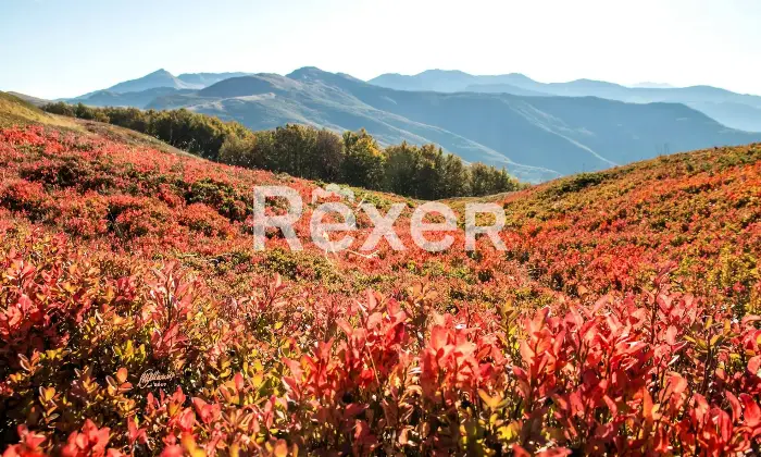 Rexer-Giarola-LEccellenza-dellOspitalit-Autentica-nellAppennino-Reggiano-Altro