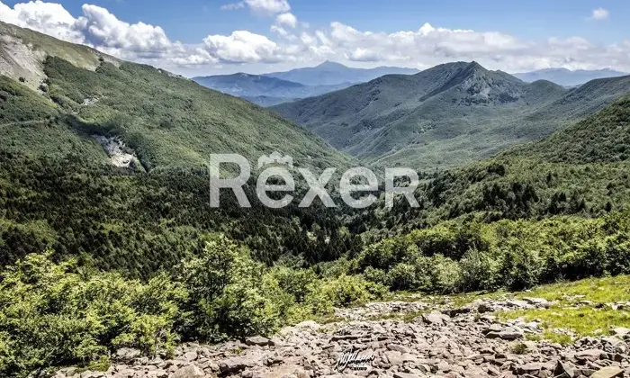 Rexer-Giarola-LEccellenza-dellOspitalit-Autentica-nellAppennino-Reggiano-Altro