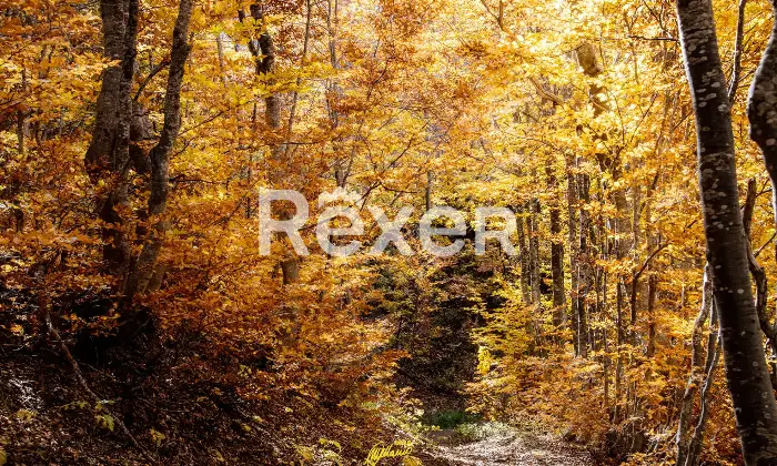 Rexer-Giarola-LEccellenza-dellOspitalit-Autentica-nellAppennino-Reggiano-Altro