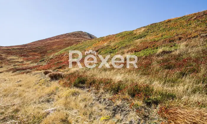 Rexer-Giarola-LEccellenza-dellOspitalit-Autentica-nellAppennino-Reggiano-Altro