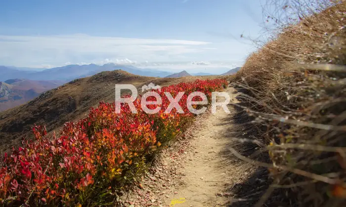 Rexer-Giarola-LEccellenza-dellOspitalit-Autentica-nellAppennino-Reggiano-Altro