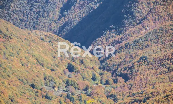 Rexer-Giarola-LEccellenza-dellOspitalit-Autentica-nellAppennino-Reggiano-Altro