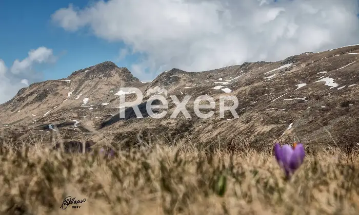 Rexer-Giarola-LEccellenza-dellOspitalit-Autentica-nellAppennino-Reggiano-Altro