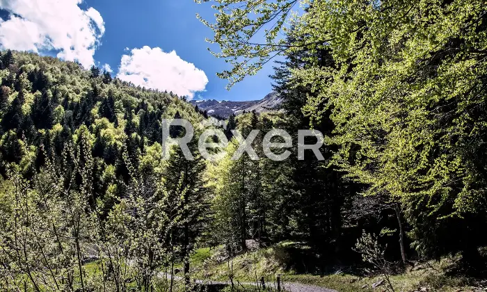 Rexer-Giarola-LEccellenza-dellOspitalit-Autentica-nellAppennino-Reggiano-Altro