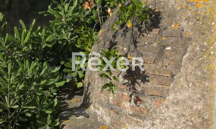 Rexer-Porto-Azzurro-PORTO-AZZURRO-LOCALITA-MOLA-Altro