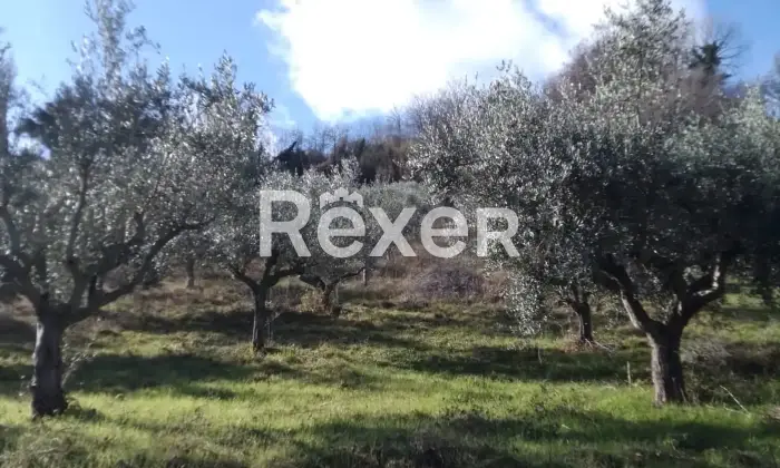 Rexer-Cellino-Attanasio-Terreno-agricolo-in-vendita-in-via-Fonte-Lucci-a-Cellino-Attanasio-Altro