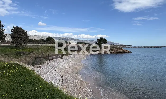 Rexer-Manfredonia-Ex-Convento-dei-Frati-Minori-Cappuccini-in-contrada-Calafico-Monte-SantAngelo-FG-Altro