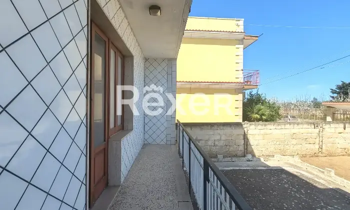 Rexer-Bitonto-Intera-palazzina-indipendente-terracielo-con-due-appartamenti-giardino-terrazzi-e-garage-Altro