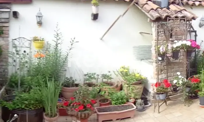 Rexer-Calendasco-Ostello-con-Bar-e-Ristorante-in-vendita-a-Calendasco-Via-Giuseppe-Mazzini-Altro