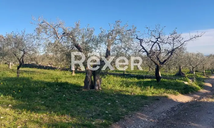 Rexer-Monte-SantAngelo-Terreno-in-vendita-in-Via-Tratturo-di-Foggiaa-Monte-SantAngelo-Altro