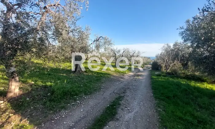 Rexer-Monte-SantAngelo-Terreno-in-vendita-in-Via-Tratturo-di-Foggiaa-Monte-SantAngelo-Altro