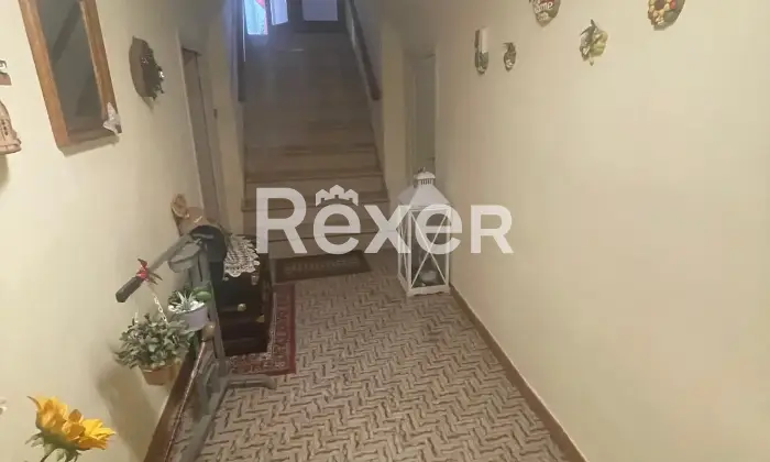 Rexer-Paretola-Casa-indipendente-di-mq-con-giardino-Via-Paretola-Paretola-MS-Altro