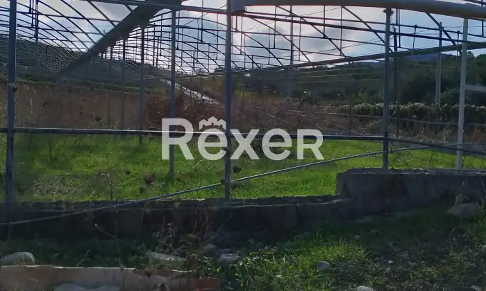 Rexer-Marineo-Terreno-industriale-di-mq-con-accesso-diretto-da-strada-Marineo-Altro