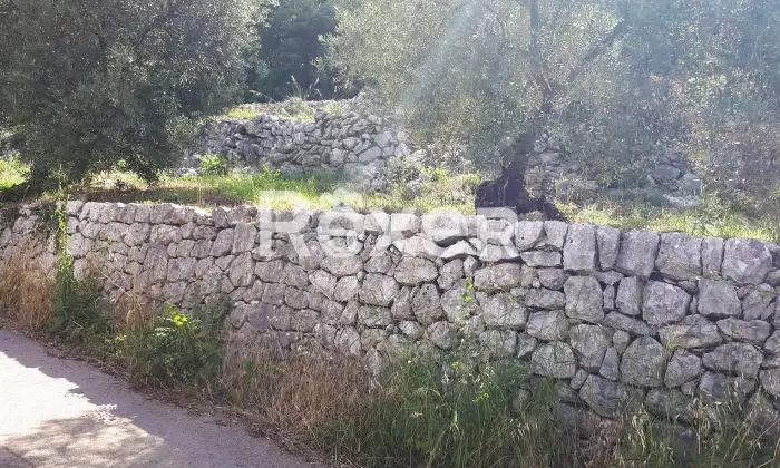 Rexer-Ausonia-Casale-rurale-da-ristrutturare-con-uliveto-Ausonia-FR-Altro