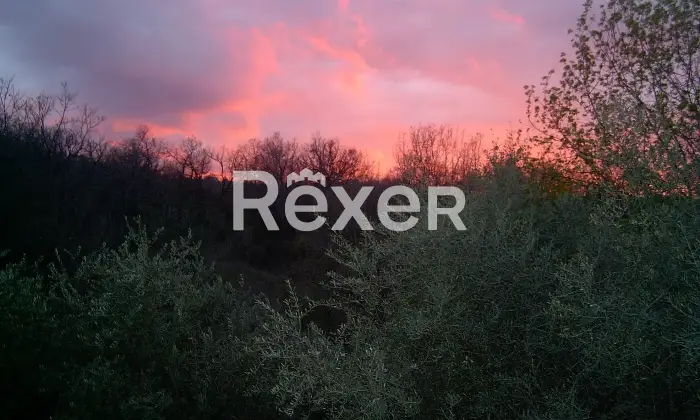 Rexer-Felitto-Agriturismo-con-ristorante-alloggi-azienda-agricola-e-agricampeggio-Felitto-SA-Altro