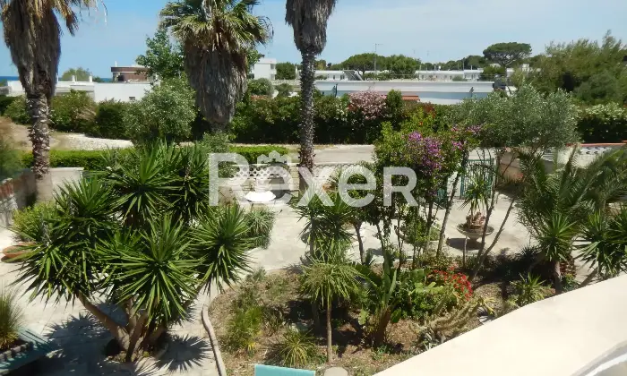 Rexer-Giovinazzo-Vendesi-villa-singola-con-terrazza-e-giardino-vista-mare-Giardino