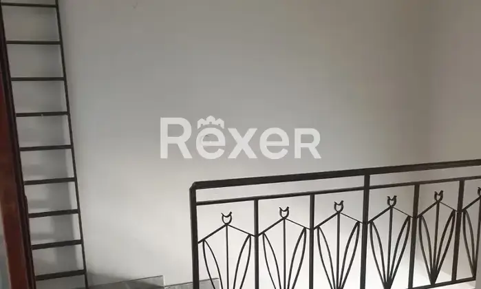 Rexer-Nova-Siri-Casa-indipendente-in-vendita-in-Via-degli-Ulivi-a-Nova-Siri-Altro