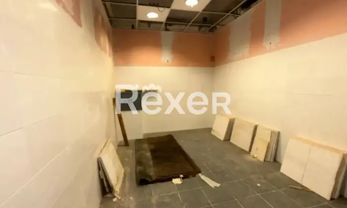 Rexer-Cologno-Monzese-Complesso-immobiliare-vicino-Fininvest-Altro