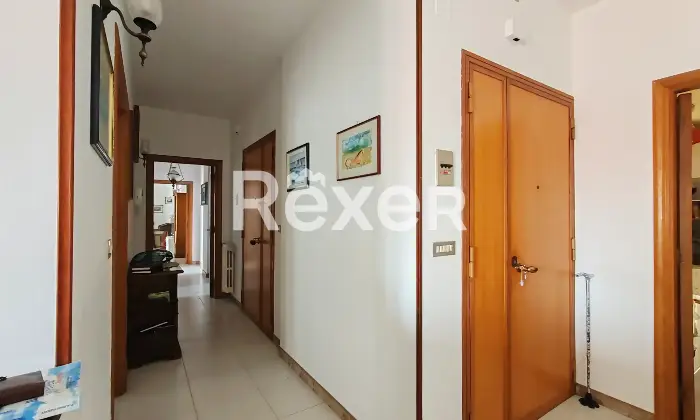 Rexer-Barletta-Esavano-in-vendita-Altro