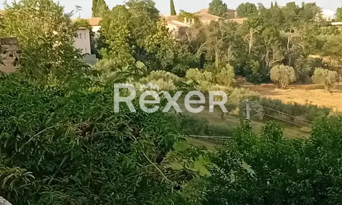 Rexer-Terre-Roveresche-Casa-indipendente-storica-in-Via-S-Giorgio-Castello-a-San-Giorgio-di-Pesaro-Altro