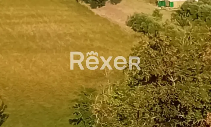 Rexer-Terre-Roveresche-Casa-indipendente-storica-in-Via-S-Giorgio-Castello-a-San-Giorgio-di-Pesaro-Altro