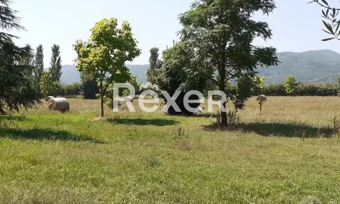 Rexer-Alvignano-Villa-a-schiera-in-vendita-in-Via-Prima-San-Ferdinando-ad-Alvignano-Altro