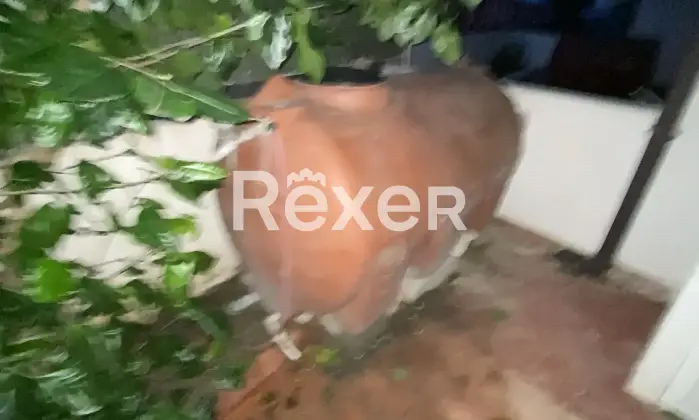 Rexer-Marina-di-San-Lorenzo-Casa-Vacanze-Marina-San-Lorenzo-Altro