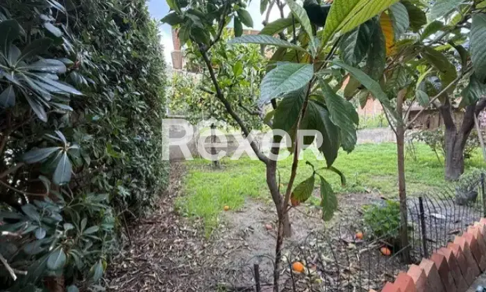 Rexer-Palizzi-Casa-indipendente-con-giardino-Contrada-Gruda-Altro