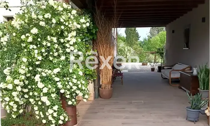 Rexer-Serramazzoni-Casa-indipendente-in-vendita-in-vendita-in-Via-Giardini-Nord-a-Serramazzoni-Atrio
