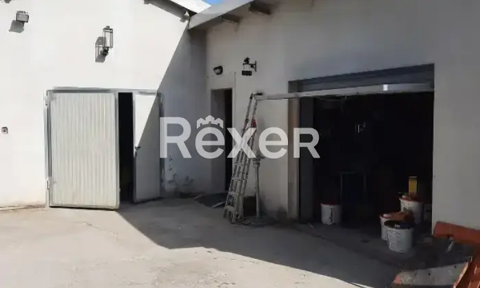 Rexer-Ravenna-Villa-bifamiliare-in-vendita-in-Via-Sintinina-a-Torri-Ravenna-Altro