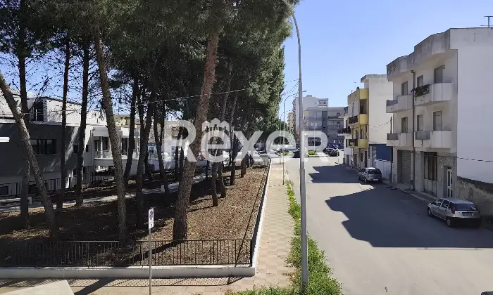 Rexer-San-Giorgio-Ionico-Luminoso-e-ampio-appartamento-al-primo-piano-con-balconi-e-ampio-terrazzo-Altro