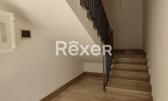 Rexer-San-Giorgio-Ionico-Luminoso-e-ampio-appartamento-al-primo-piano-con-balconi-e-ampio-terrazzo-Altro