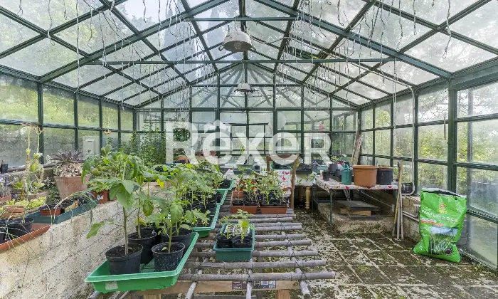 Rexer-Paciano-Nuda-propriet-Prestigiosa-villa-con-piscina-e-parco-Altro
