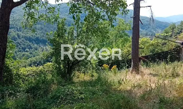 Rexer-Villa-Minozzo-Vendesi-casa-indipendente-Via-del-Castello-Sologno-RE-Altro