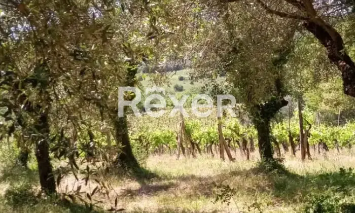 Rexer-Poggibonsi-Casale-in-vendita-Altro