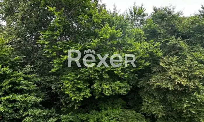 Rexer-Pizzoferrato-Accogliente-Mansarda-con-Camino-Soppalco-e-Box-Auto-Pronta-da-Abitare-Altro