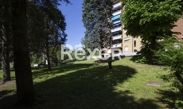 Rexer-Pesaro-Appartamento-luminoso-con-garage-vicino-al-centro-Altro