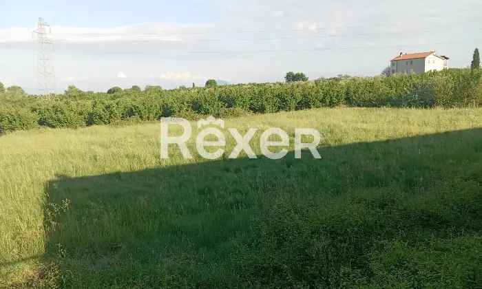 Rexer-Vignanello-Locale-commerciale-in-vendita-in-SP-a-Fabrica-di-Roma-Altro