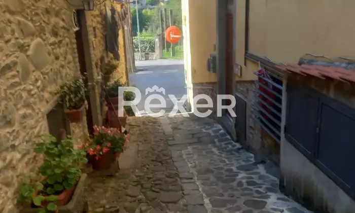 Rexer-Borgo-a-Mozzano-Casa-a-reddito-Altro